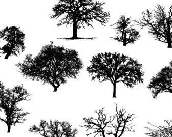 Vector Arte árboles