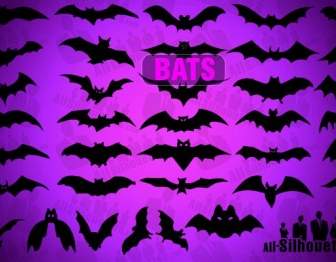 Vector Bats