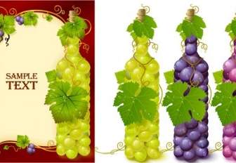 Vector Bottle Filled With Grapes