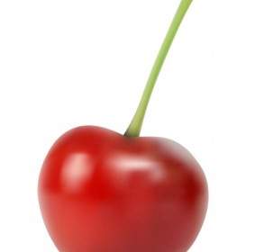 Vector Cherry