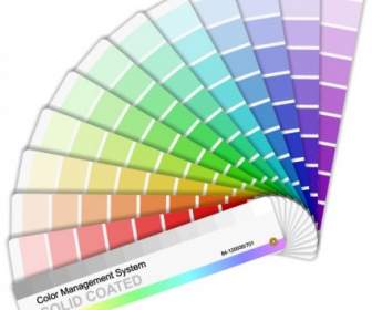 Vector Color Card Paper