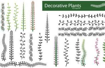 Plantas Decorativas De Vector