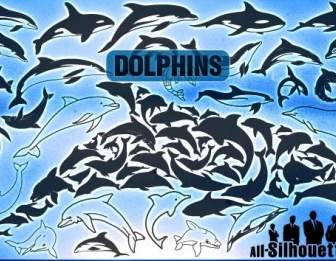 Delfini Vettoriale