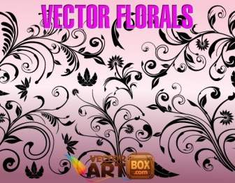Vector Florals
