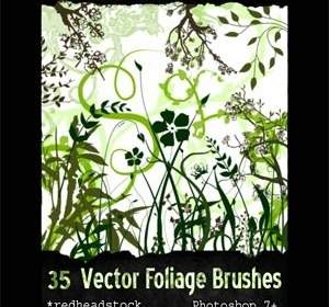 Vector Foliage Plants Brush