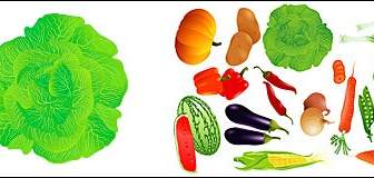 向量水果和蔬菜