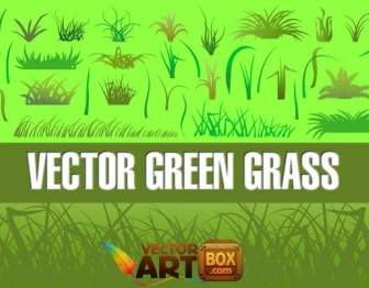 Vektor-Gras