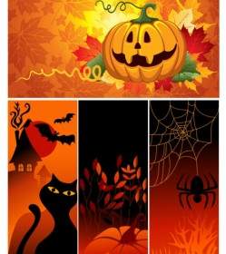 Vector Halloween Pumpkin Spider Black Cat