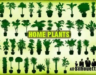 Vector Home Plants Clipart