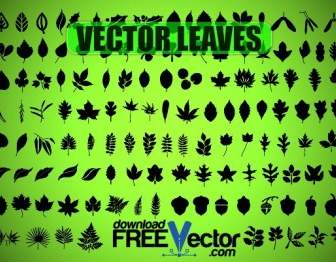 Vector Leaves