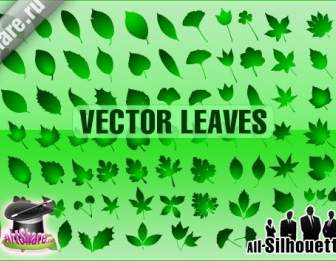 Vector Leaves