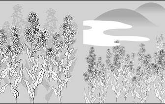 向量線描的花椰菜花雲