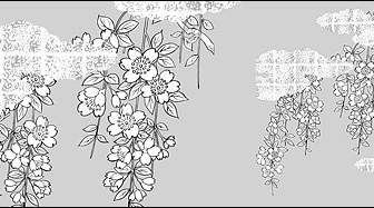 رسم خط متجه من الزهور أزهار الكرز الغيوم مذهب شعرية