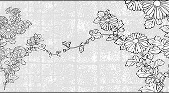 Vektor-Strichzeichnung Von Blumen Chrysantheme Hintergrund