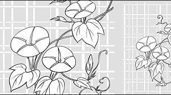 Vektor-Strichzeichnung Von Blumen Morning Glory Gitter Hintergrund