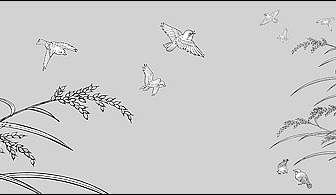 Vektor-Strichzeichnung Von Blumen Reis Vögeln