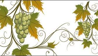 Vector Material Vines