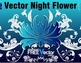 Vector Night Flower