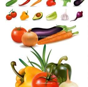 Vector Of Common Vegetables