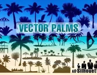 Palmiers De Vecteur