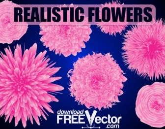 Realistyczne Kwiaty Wektor