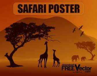 Cartaz De Safari De Vetor
