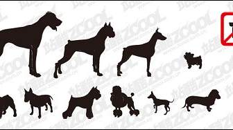 Vector Silhouette Of A Variety Of Dog Material