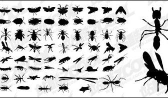向量輪廓的各種昆蟲的材料