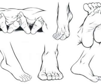 Vector Sketch Foot