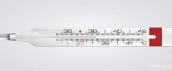 Vector Thermometer