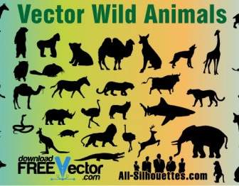 Vector Wild Animals