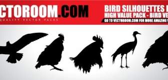 Vectoroom Uccelli Vettoriali Gratis