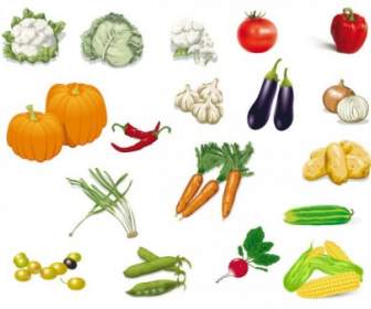 Sayuran Gambar Vektor