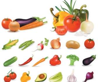 Gemüse-Vektor