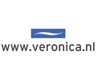 Veronica Internet