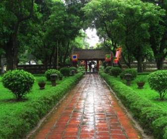Trottoir Jardin Du Vietnam