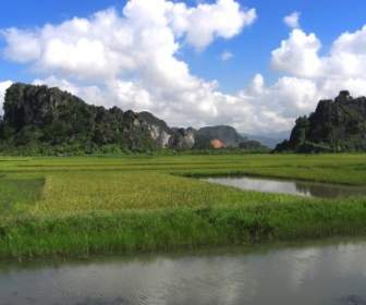 Việt Nam Phong Cảnh Bầu Trời