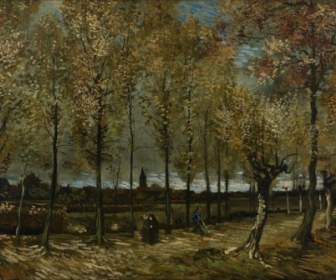 Arte De Van Gogh Vincent Artística