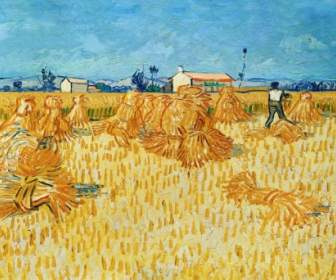 Palha De Colheita Vincent Van Gogh