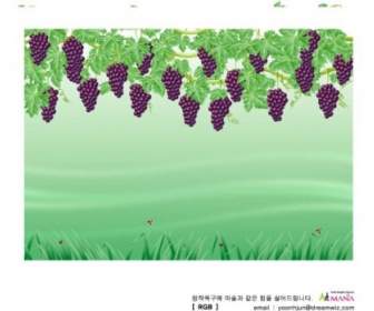 Vettoriale Vines