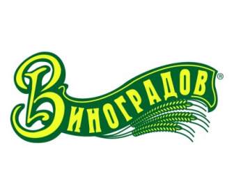 فينوغرادوف