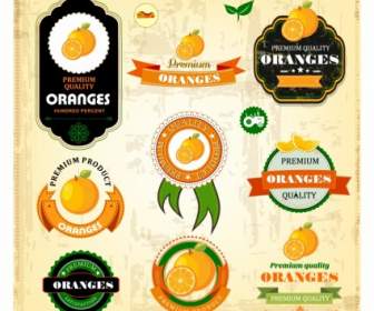 Etiqueta De La Cosecha De Naranjas