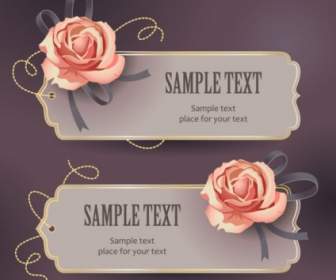 Vintage Rose Card Text Template Vector