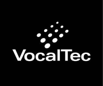 Vocaltec 通訊