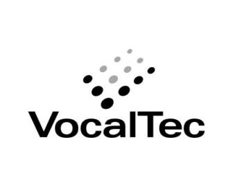 Vocaltec Komunikasi