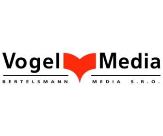 Médias De Vogel