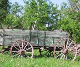 Wagon And Wood Pile