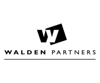 Walden Patners