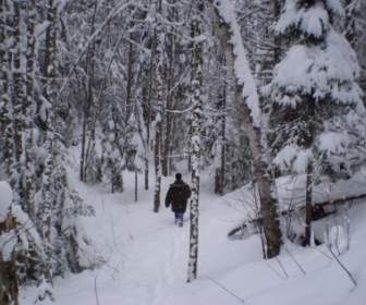 Caminar En La Nieve