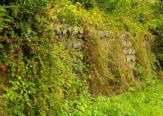 石石の壁